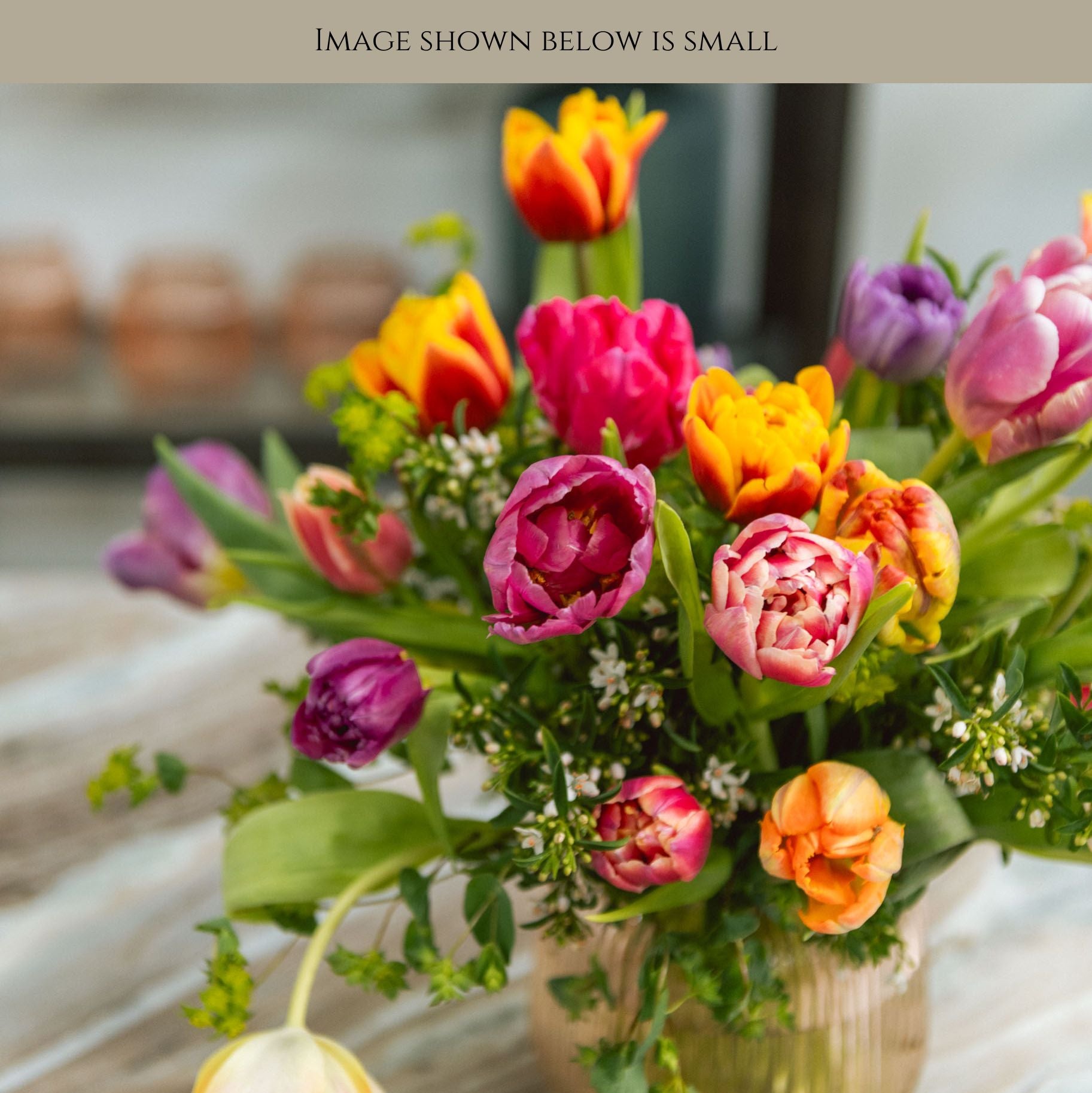 Tulip Pop – Wild Daffodil Atelier